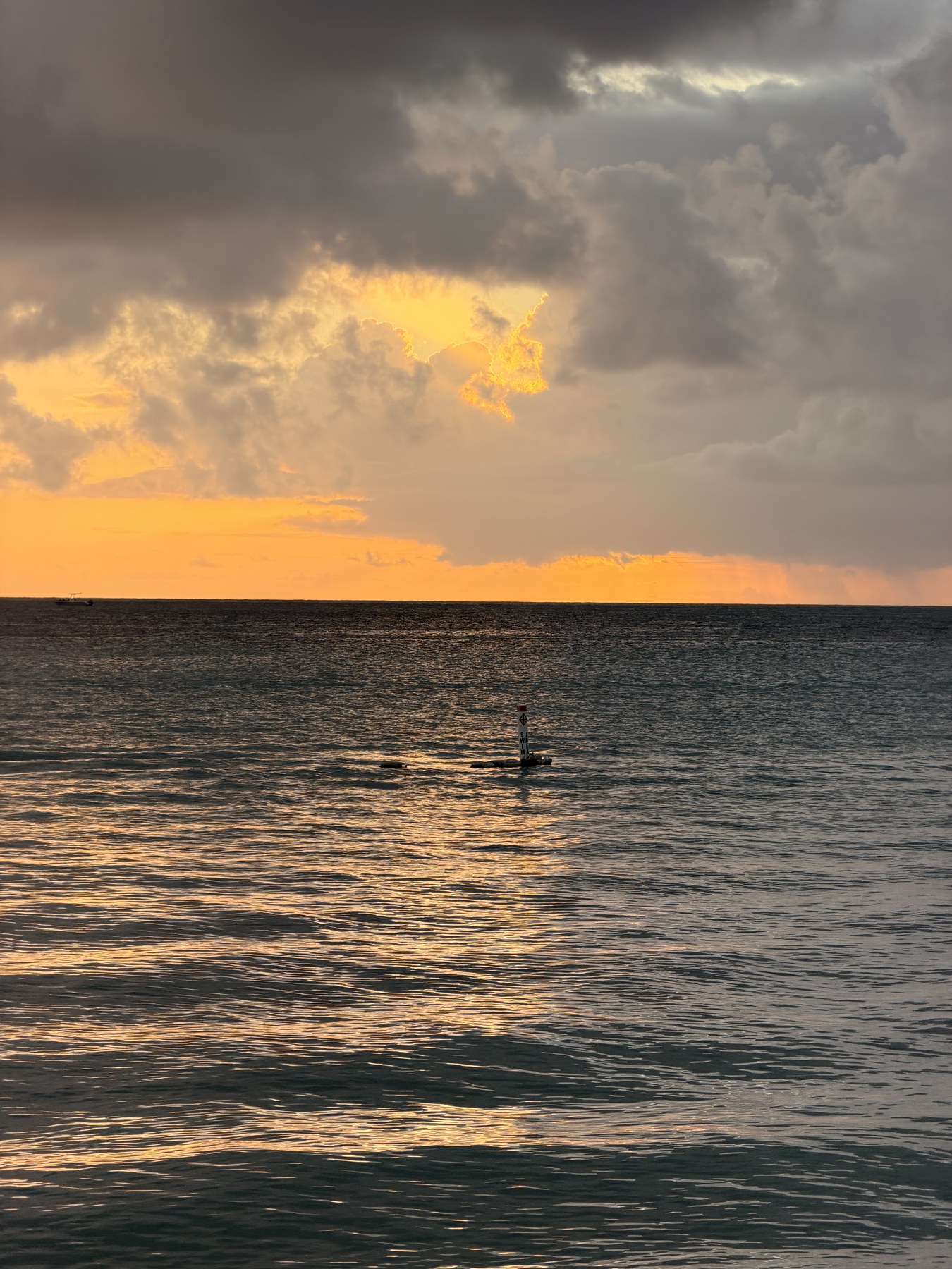 Adventure in Puerto Rico